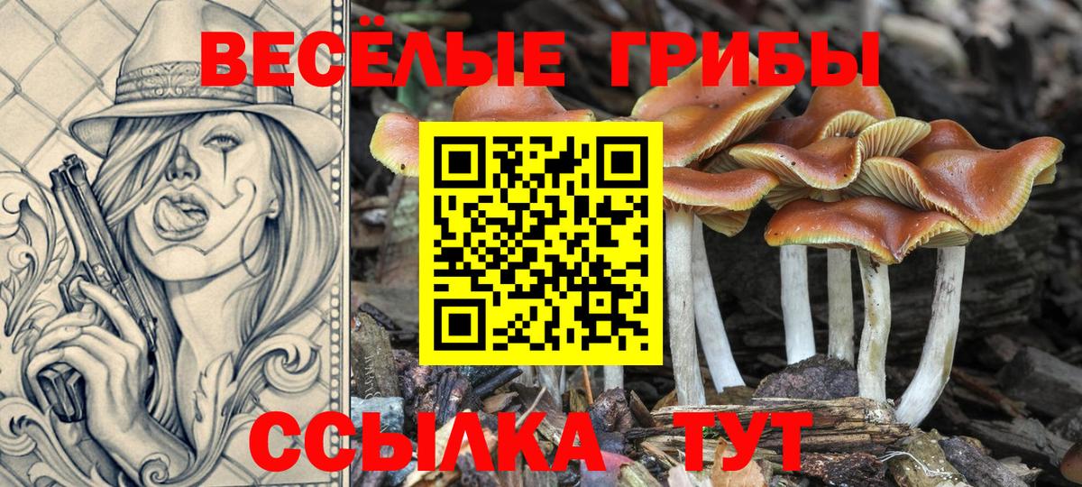 Уварово  Галлюциногенные грибы ЛСД  Вход с VPN 